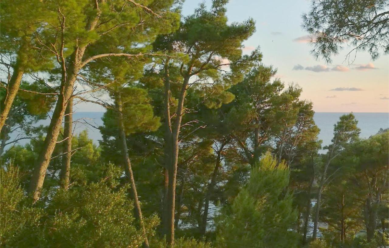 House In The Pines * Sutomore